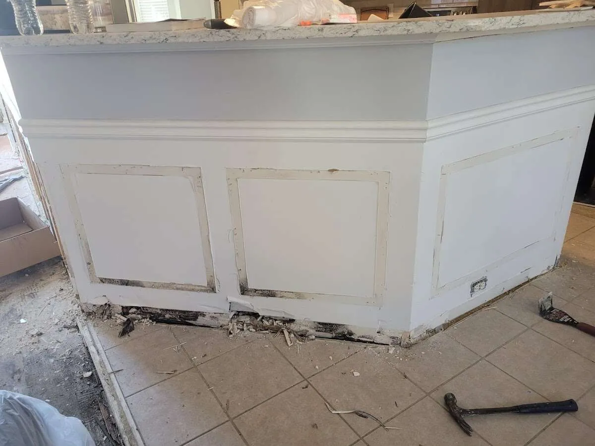 Water damage and mold on kitchen during Mold Inspection & Testing in Cairo